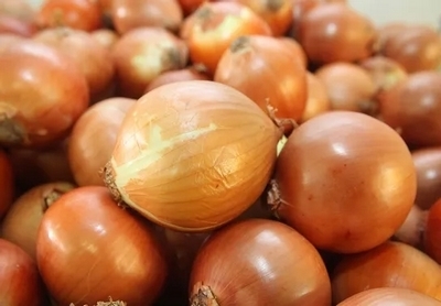 oignons jaune